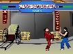 SuperFighter