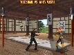 Combatientes Bushido